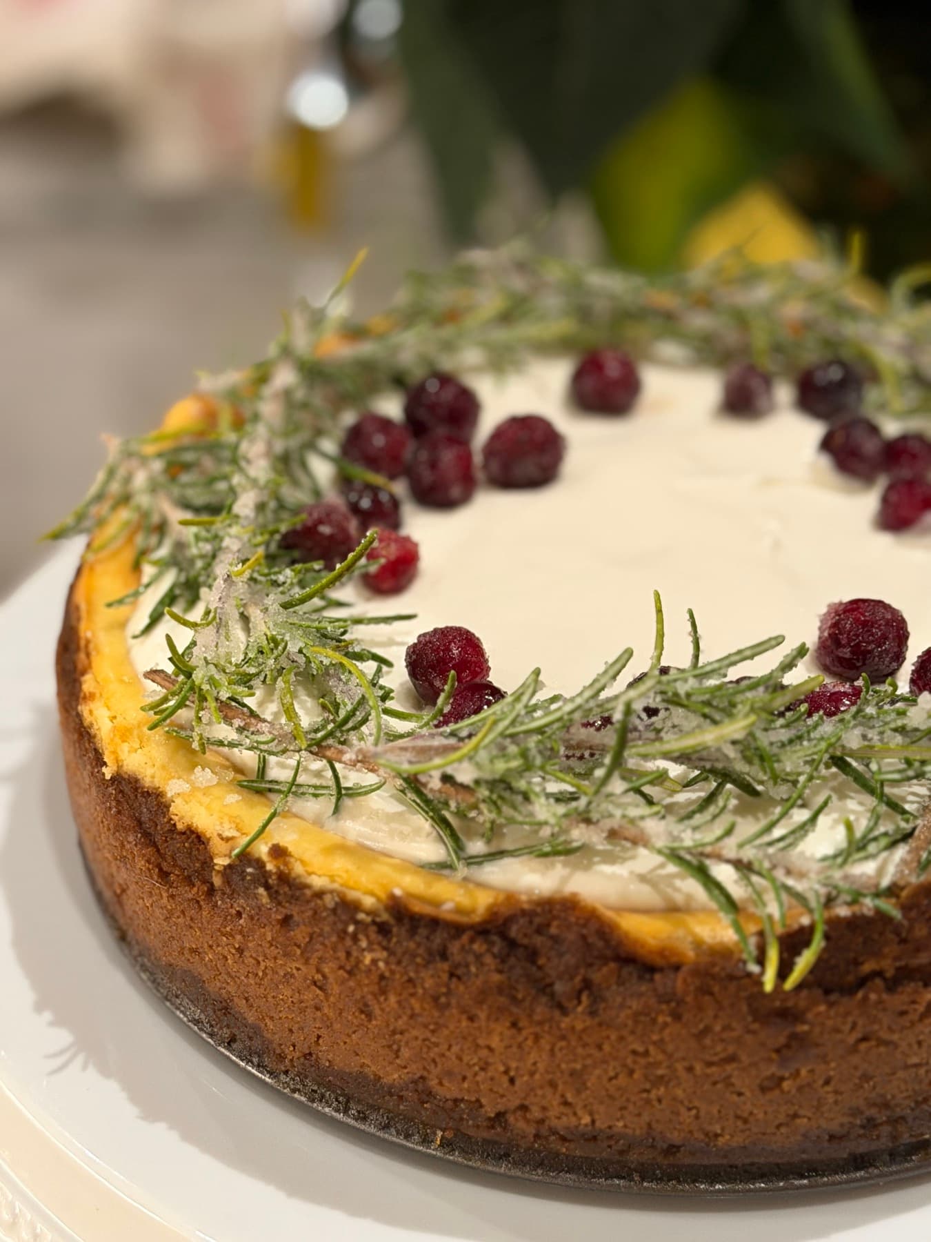 Cheesecake dressed with sugared rosemary and cranberries